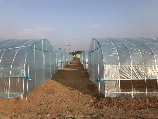 Petite serre à film en tunnel pour la culture de tomates largeur de 6 m à 10 m