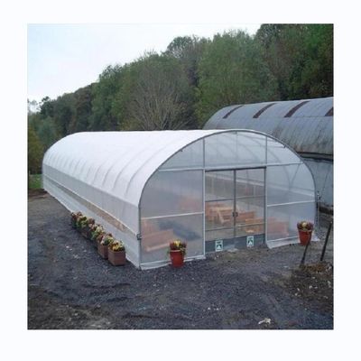 Serre agricole hydroponique de tomate pour un rendement accru dans une conception à une seule étendue