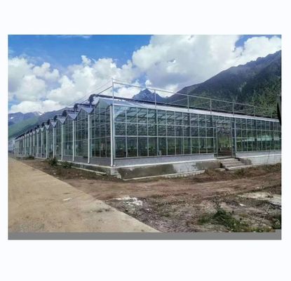 8m 9,6m 12m Largeur de l'étendue Serre multispan avec système hydroponique et structure en verre
