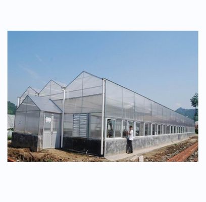 Serres industrielles en feuille de polycarbonate idéales pour la culture de légumes, fruits et fleurs