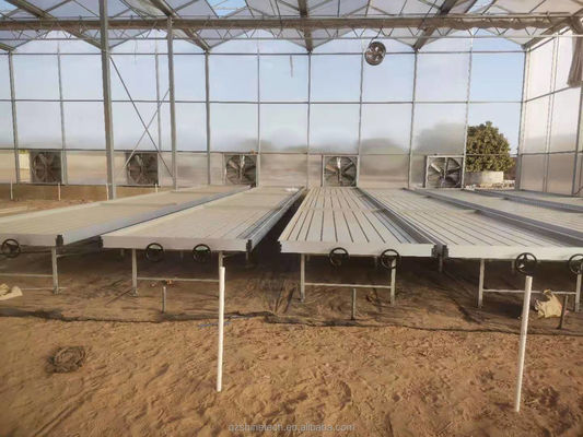 Serres industrielles en feuille de polycarbonate idéales pour la culture de légumes, fruits et fleurs