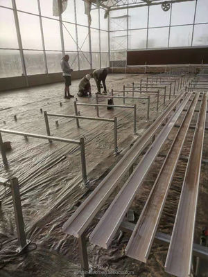 Serres industrielles en feuille de polycarbonate idéales pour la culture de légumes, fruits et fleurs