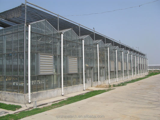 8m 9,6m 12m Largeur de l'étendue Serre multispan avec système hydroponique et structure en verre