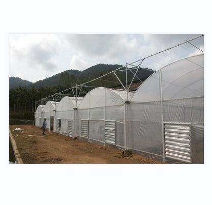 150/200 Serre à film multi-étendue en PE à micro-couverture pour la culture de tomates en agriculture