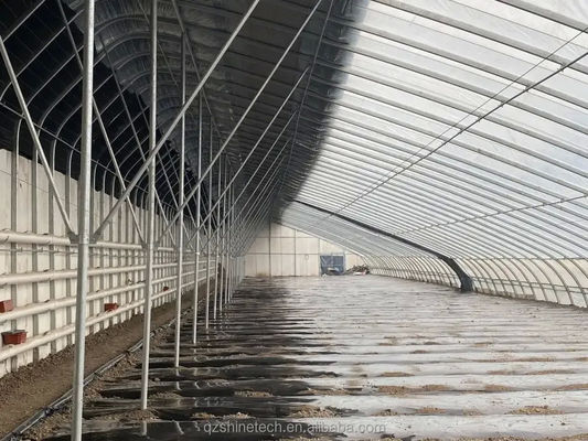 Facile à assembler Petite serre solaire passive pour l'agriculture durable à petite échelle