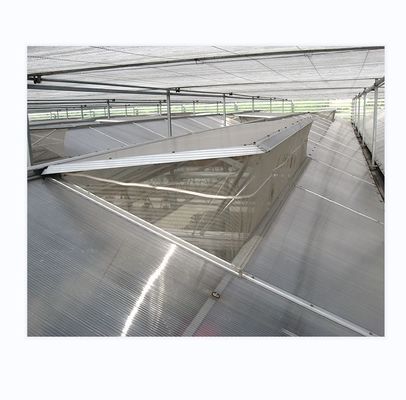 Serres agricoles préfabriquées avec feuilles de polycarbonate industriel et système de refroidissement
