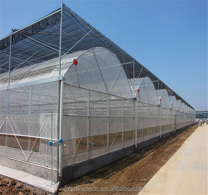 150/200 Serre à film multi-étendue en PE à micro-couverture pour la culture de tomates en agriculture