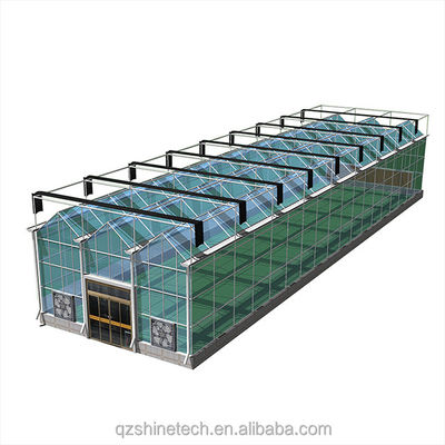 Serre agricole recouverte de verre avec dessin d'installation