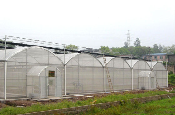 150/200 Serre à film multi-étendue en PE à micro-couverture pour la culture de tomates en agriculture