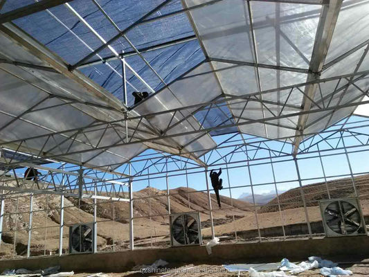 Serres agricoles préfabriquées avec feuilles de polycarbonate industriel et système de refroidissement