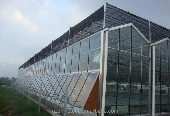 Serre agricole recouverte de verre avec dessin d'installation