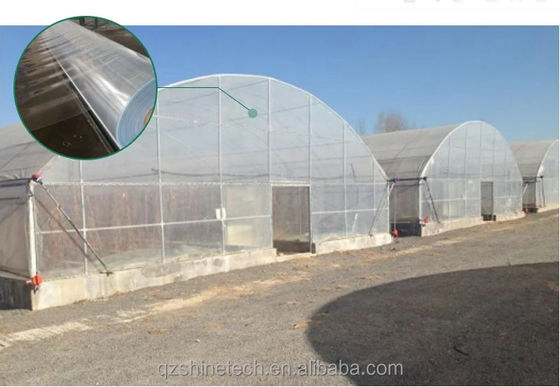 150/200micro Film haute tunnel Serre agricole pour la culture hydroponique de tomates