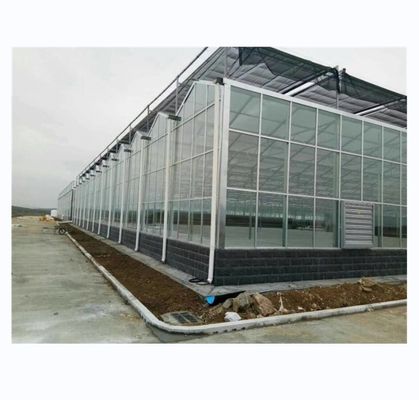 Serre en verre Venlo à résistance extrêmement élevée pour projet commercial agricole clé en main