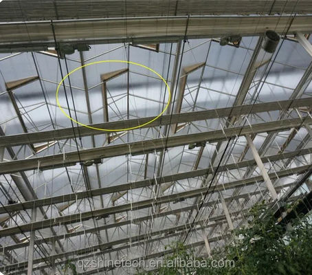 Serre en verre Venlo à résistance extrêmement élevée pour projet commercial agricole clé en main
