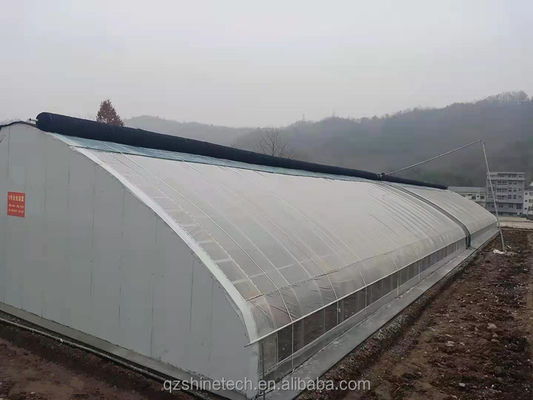 Longueur 50-120m Serre solaire commerciale à double isolation pour l'hiver et les zones froides