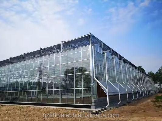 Serre en verre Venlo à résistance extrêmement élevée pour projet commercial agricole clé en main