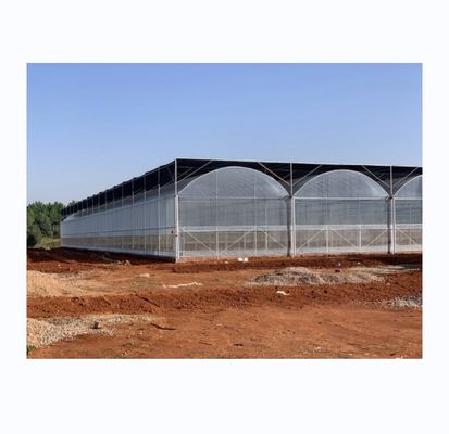 Serre intelligente pour la culture de la tomate