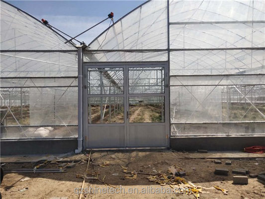 Serre intelligente pour la culture de la tomate
