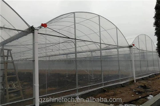 Serre intelligente pour la culture de la tomate