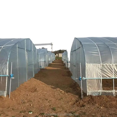 Serre agricole à longue portée recouverte de film pour la culture hydroponique
