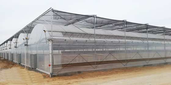 4.0-8.0M Hauteur Serre à film multifonction agricole avec une résistance super forte