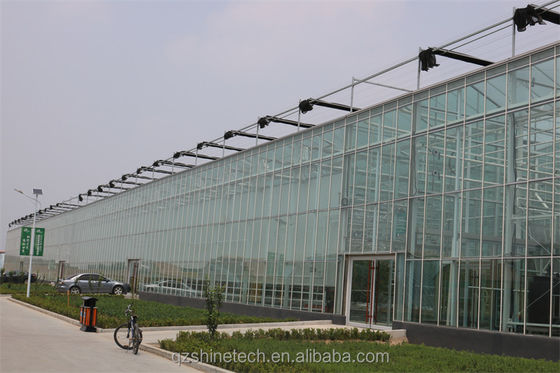 Systèmes de culture hydroponique à couverture de verre NFT La solution ultime pour l'agriculture verticale