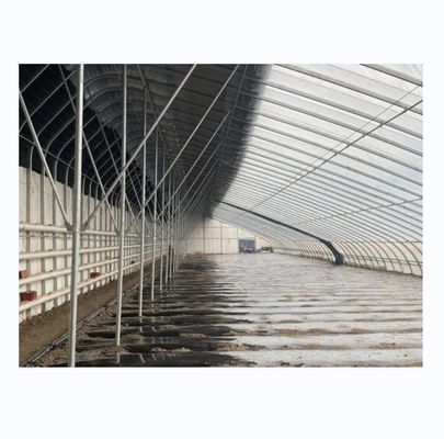 Serres solaires d'hiver Serre agricole chaude avec cadre en acier galvanisé