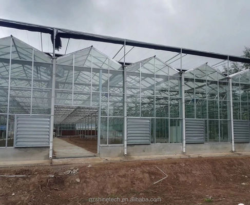Systèmes de culture hydroponique à couverture de verre NFT La solution ultime pour l'agriculture verticale