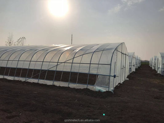 Couverture de film 50x8m Serre à tunnel agricole à bande unique hauteur 3,5-5m