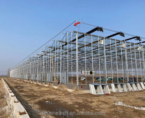 Systèmes de culture hydroponique à couverture de verre NFT La solution ultime pour l'agriculture verticale