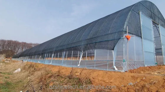Couverture de film 50x8m Serre à tunnel agricole à bande unique hauteur 3,5-5m