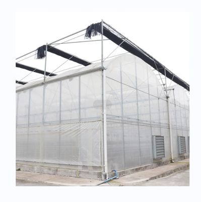 Serre en plastique multifonction agricole à irrigation optimale pour les cultures monocouches