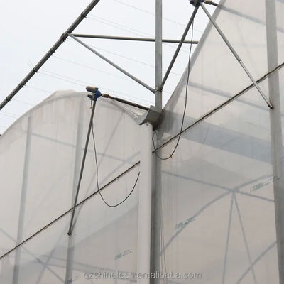Serre en plastique multifonction agricole à irrigation optimale pour les cultures monocouches