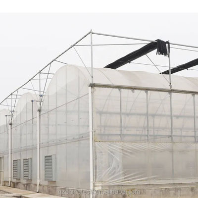 Serre en plastique multifonction agricole à irrigation optimale pour les cultures monocouches