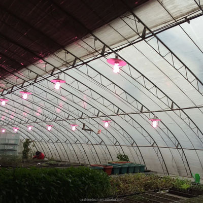 Serres solaires d'hiver Serre agricole chaude avec cadre en acier galvanisé
