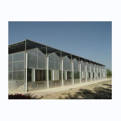 Serre à couverture polycarbonate de 8 mm à résistance extrêmement élevée pour tomates
