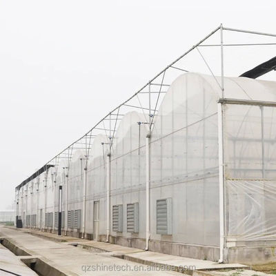 Serre en plastique multifonction agricole à irrigation optimale pour les cultures monocouches