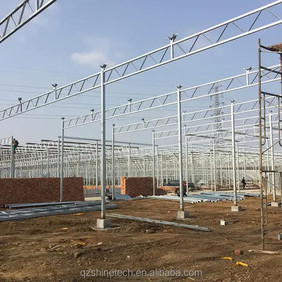 Serre à couverture polycarbonate de 8 mm à résistance extrêmement élevée pour tomates