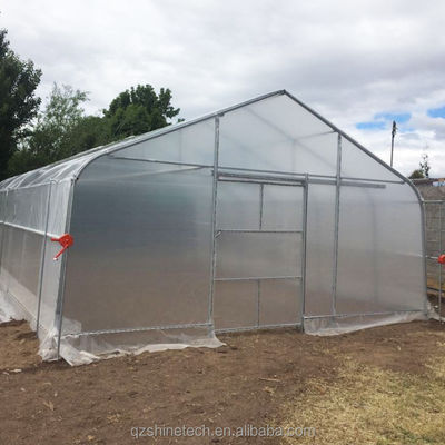 Serre poly-tunnel à haute résistance à une seule couche de 6 à 10 m de largeur pour la production de tomates