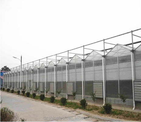Verts Fruits Fleurs Serres agricoles à longue portée avec systèmes hydroponiques