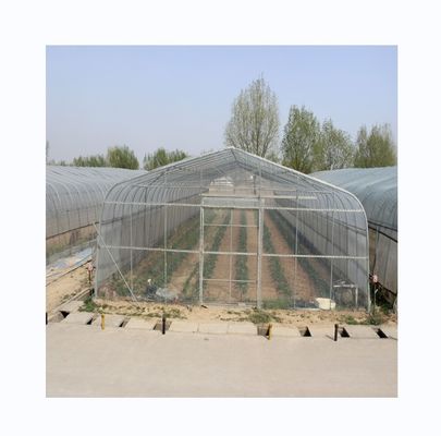 Serre en PE tunnel pour la culture hydroponique de tomates Facile à assembler Longueur 10-100m