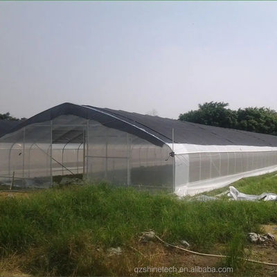 Serre en PE tunnel pour la culture hydroponique de tomates Facile à assembler Longueur 10-100m
