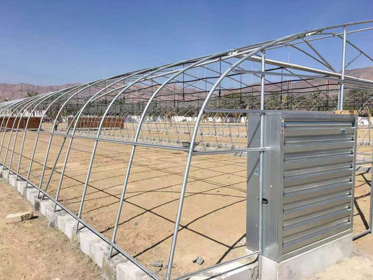 Serre en PE tunnel pour la culture hydroponique de tomates Facile à assembler Longueur 10-100m