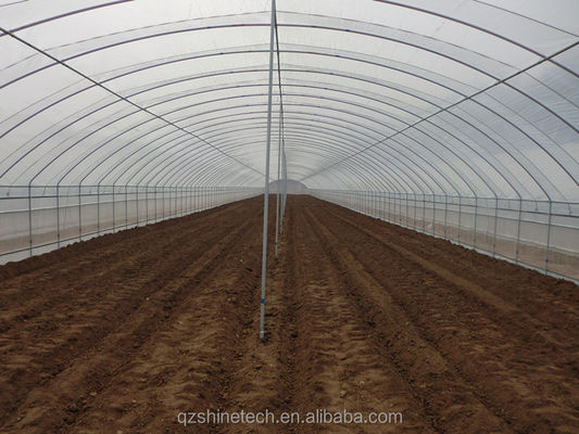 Serre en PE tunnel pour la culture hydroponique de tomates Facile à assembler Longueur 10-100m