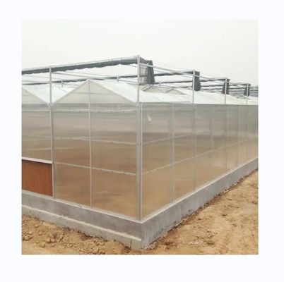 Serre en polycarbonate de résistance extrêmement élevée pour l'agriculture commerciale