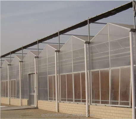 Serre en polycarbonate de résistance extrêmement élevée pour l'agriculture commerciale