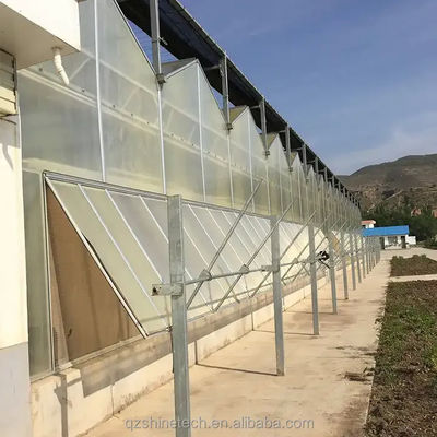 Serre en polycarbonate de résistance extrêmement élevée pour l'agriculture commerciale