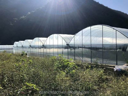 Rame de tubes en acier galvanisé à chaud à longue portée Serre agricole