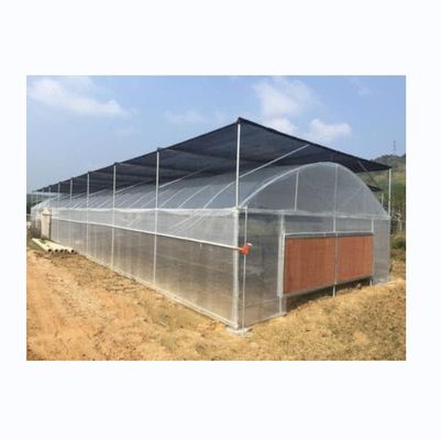 Petite serre en PE en film plastique pour l'agriculture des légumes Longueur 10-100m