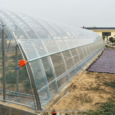 Petite serre en PE en film plastique pour l'agriculture des légumes Longueur 10-100m